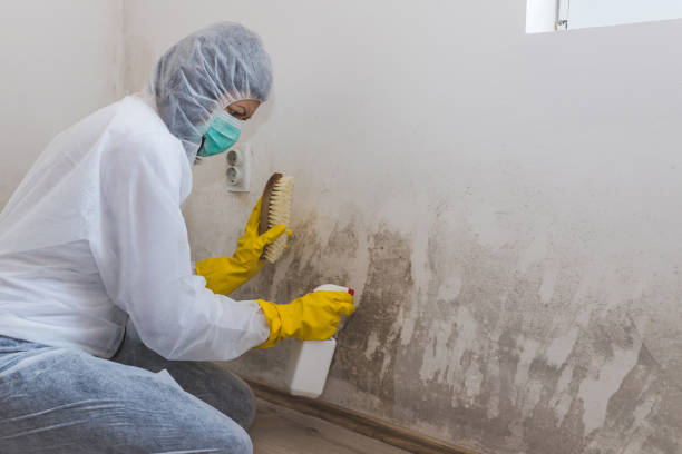 Biohazard Mold Removal in Carteret, NJ